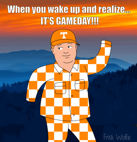 When You Wake Up And Realize It 'S Game Day GIF