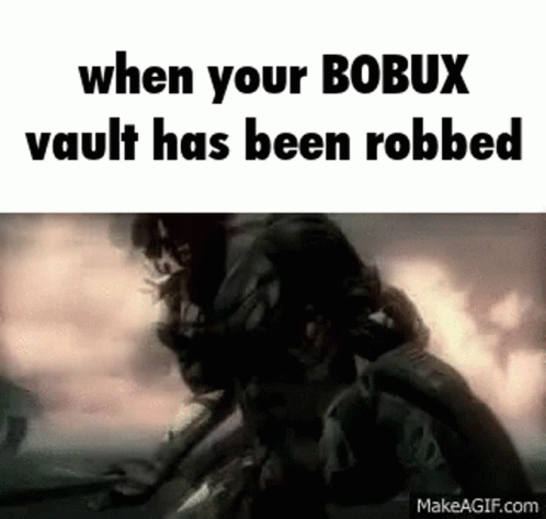 When Your Bobux Vault Has Been Robbed