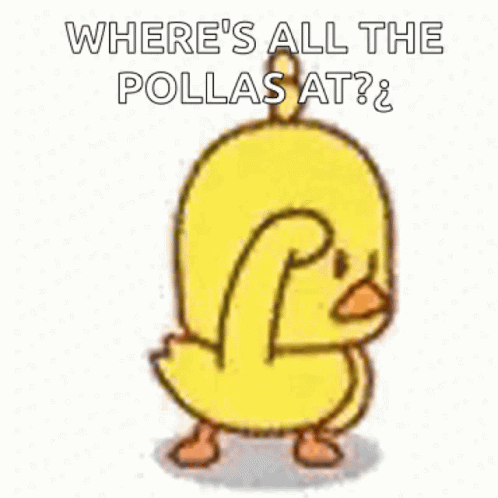 Where All The Pollas At GIF