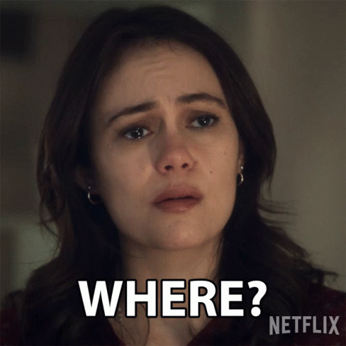 Dina Shihabi Where GIF