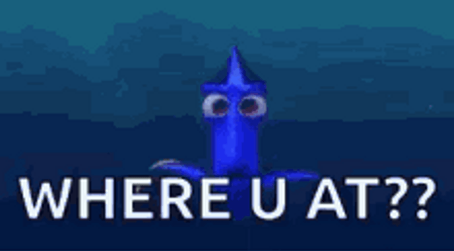 Where Are You Finding Dory GIF
