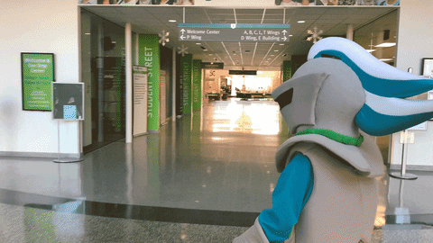 Where Is Everyone Knight Mascot In Empty Hallway GIF