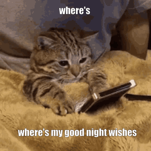 Where Is My Good Night Wishes