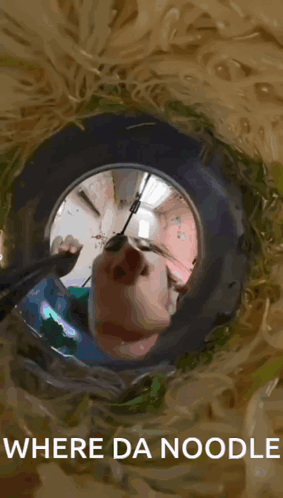 Where Is The Yummy Noodle GIF