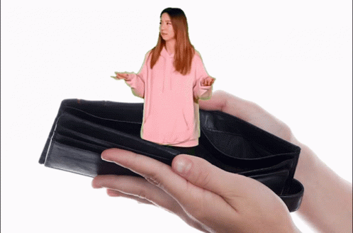 Where's The Money Empty Wallet GIF