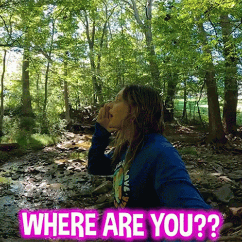 Where You At Finding In The Forest GIF