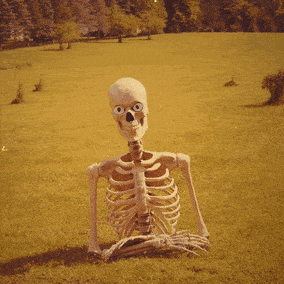 Where You At Skeleton Posing GIF