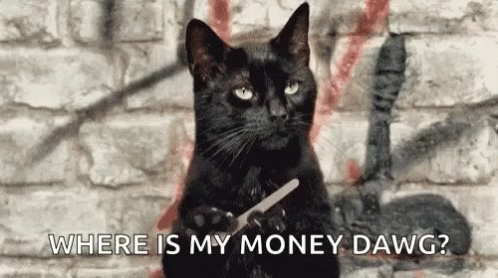 Wheres My Money Black Cat Meme GIF