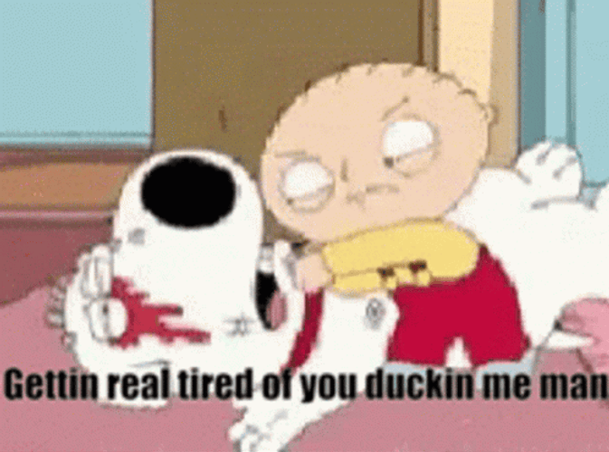 Wheres My Money Brian Griffin Family Guy GIF