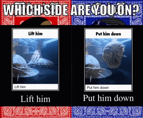Which Side Are You On Lift Him Put Him Down Lift Him Put Him Down Lift Him Put Him Down GIF