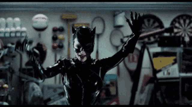 Whip Flex Spin Cat Woman Batman GIF