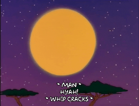 Whips Cracks Crack The Whip GIF