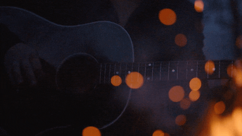 Whiskey Chaser Bonfire GIF