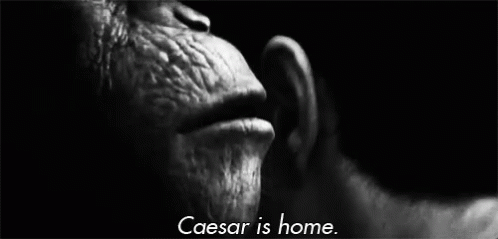 Whispering Caesar Is Home GIF