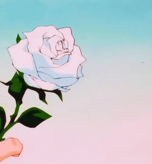 White Aesthetic Rose GIF