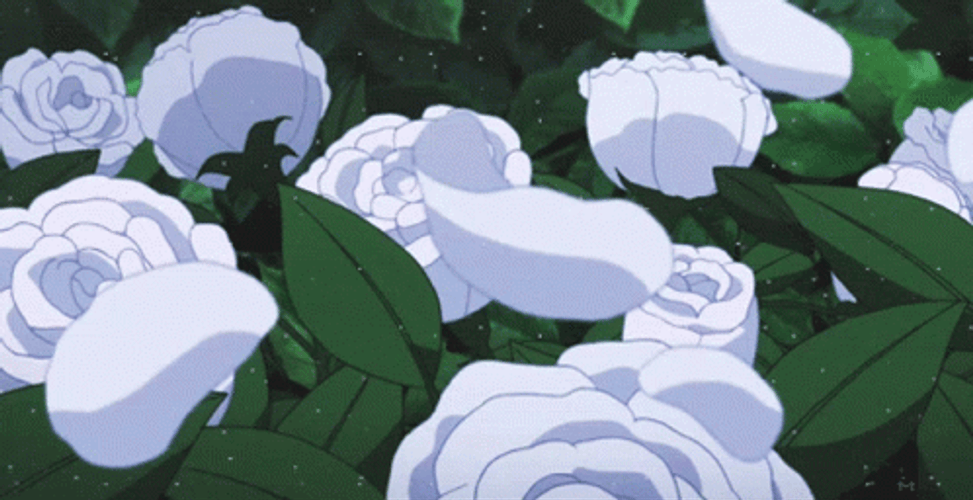 White Aesthetic Roses GIF