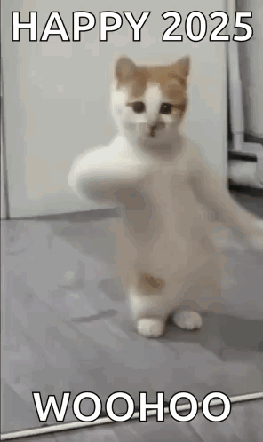 White And Brown Cat Holding Stick GIF