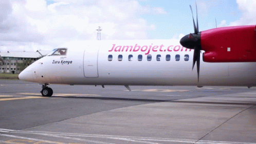 White and Red Airplane Jambojet.com