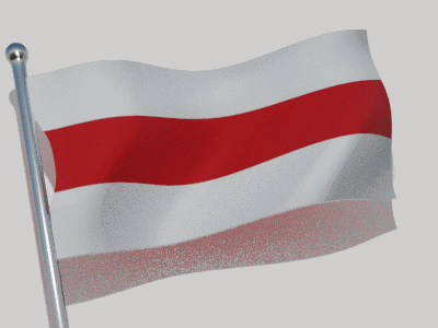 White And Red Flag Waving GIF