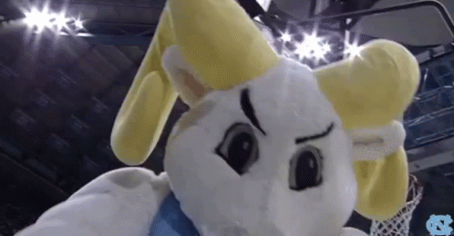 White and Yellow Mascot Standing in Front of Basketball Hoop