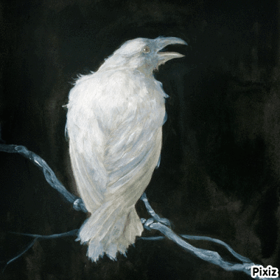White Bird Painting With Pixiz GIF