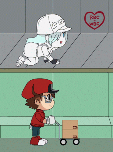 White Blood Cell And Red Blood Cell With Heart Saying RBC + WBC GIF