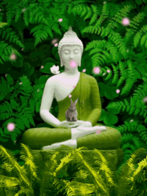 White Buddha Statue Green Nature GIF
