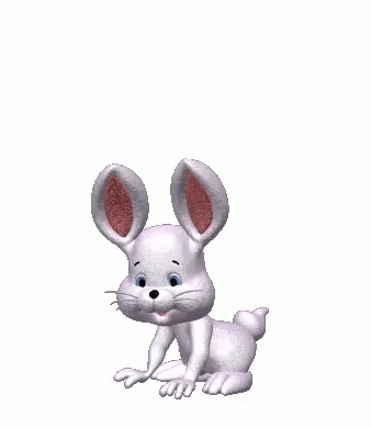 White Bunny Hopping Happily GIF