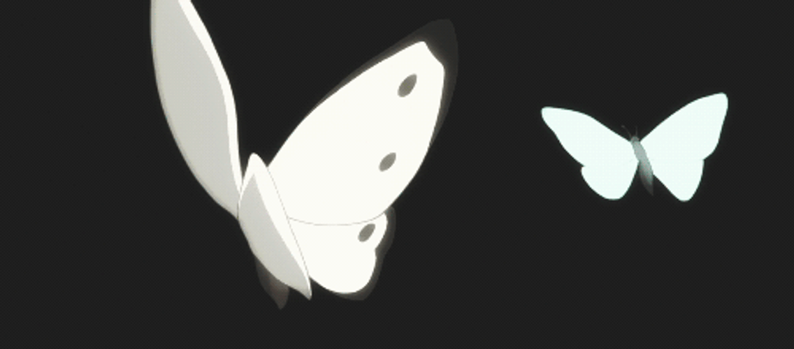 White Butterflies In The Galaxy GIF