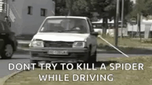 White Car Driving Past Spider