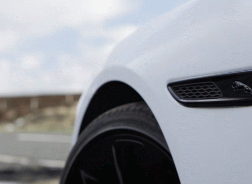 White Car With Black Jaguar Logo