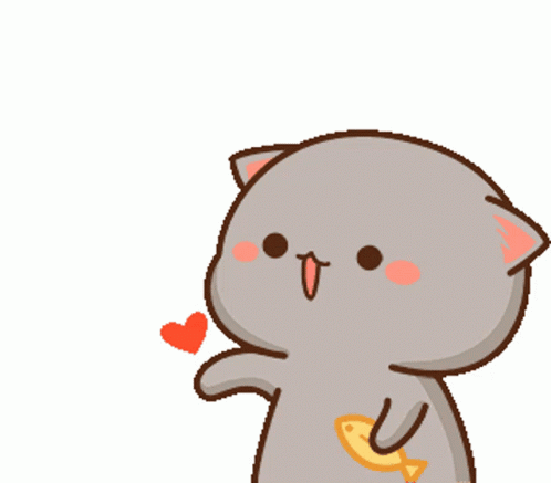 White Cat and Gray Cat on Orange Background
