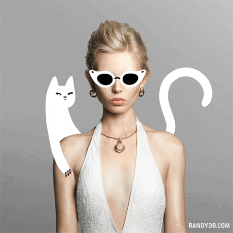 White Cat Art With A Model GIF