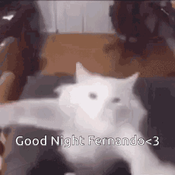 White Cat Bye Meme GIF