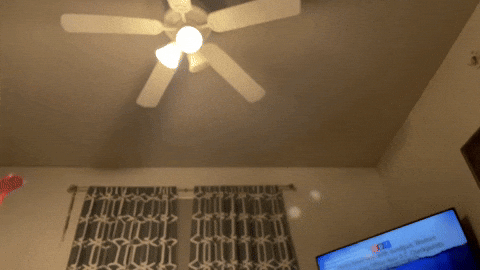 White Cat Caught Flying Toy GIF