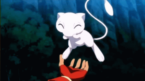 White Cat Flying Over Hand