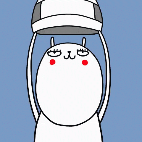 White Cat Holding Baseball Cap Over Head GIF
