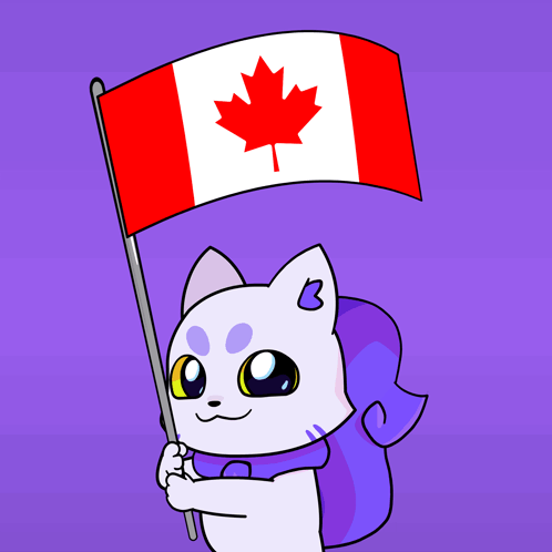 White Cat Holding Canadian Flag GIF