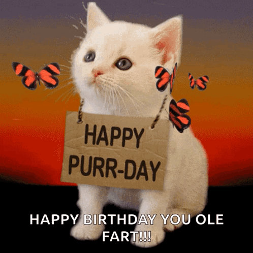 White Cat Holding Happy Purr-Day Sign