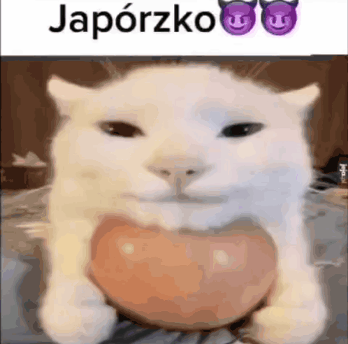 White Cat Holding Heart Shaped Object Smiling