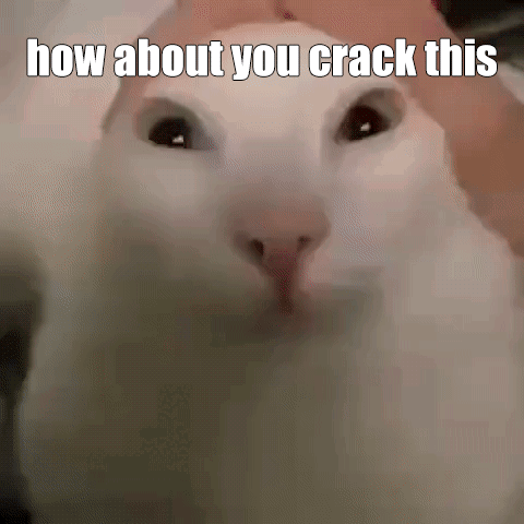 White Cat How About You Crack This