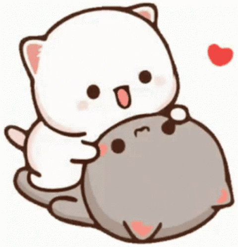 White Cat Hugging Gray Cat With Red Heart GIF