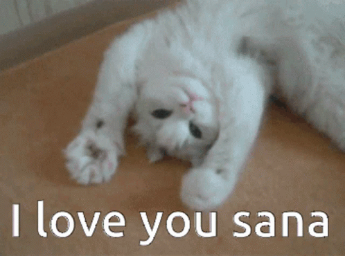 White Cat I Love You Sana GIF