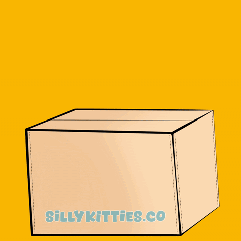 White Cat in Cardboard Box Sillykitties.co