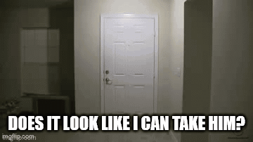 White Cat In Sunglasses Saying Sounds Good To Me GIF