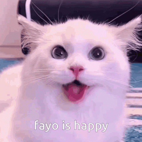White Cat Is So Excited Meme GIF