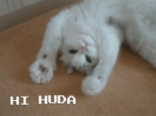 White Cat Laying on Back Saying Hi Huda