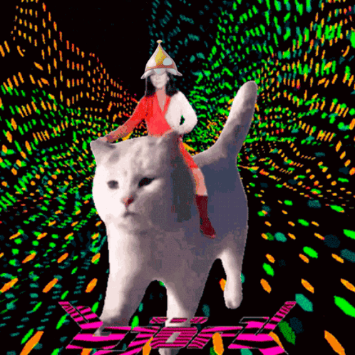 White Cat Laying On Back Saying Love You Too GIF