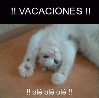 White Cat Laying on Back Vacaciones