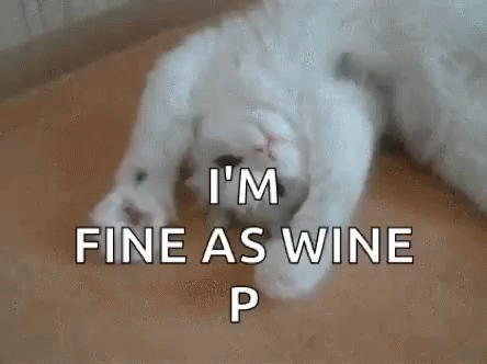 White Cat Laying on Floor Saying I'm Fine as Wine
